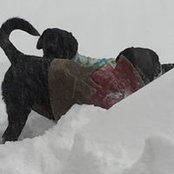 Jody Ricca's photo