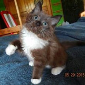 Kathy Peffer's photo