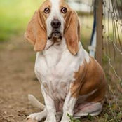 Susan Webb's photo