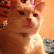 Katie Cooper's photo