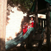 Foto de haley
