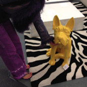 violetta boyd's photo
