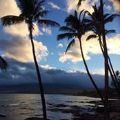 Brooke Carroll's photo