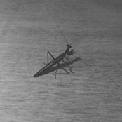 LLuís Sarquella's photo