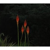 Yvonne Muraro's photo