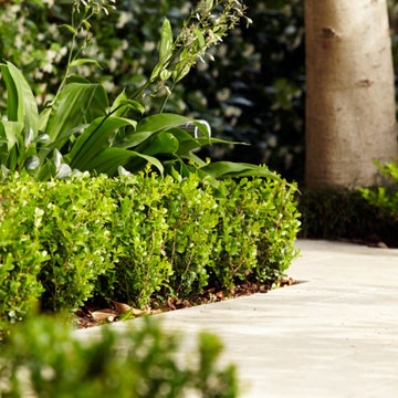 Walkways Paving and Front Yard Upgrade in Sherman Oaks CA