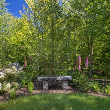 Landscape Ideas