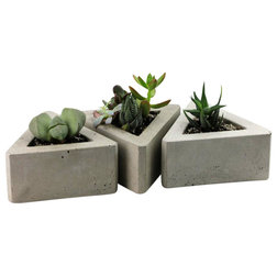 Industrial Indoor Pots And Planters by Rough Fusion