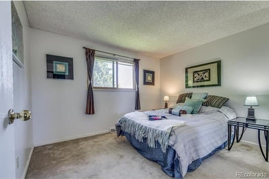 Elegant home design photo in Denver