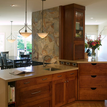 Satisfaction in Shaughnessy - Rear Additions & Interiors