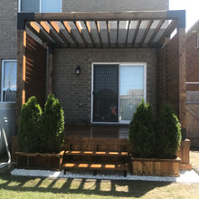 Backyard Project