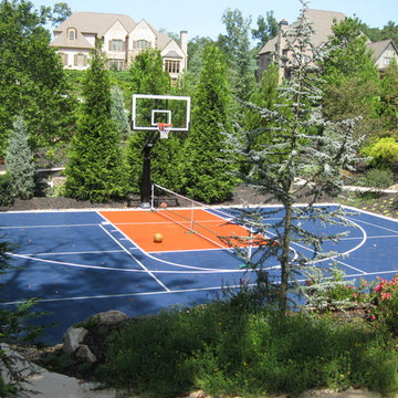mike z's Pro Dunk Platinum Basketball System on a 50x30 in Milton, GA