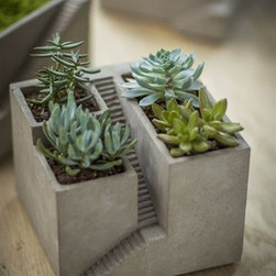 Architectural Plant Pot - Plants