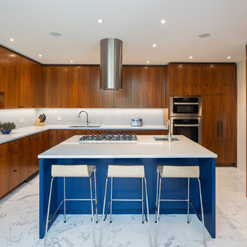 Mid Century Modern Home Renovation - Kitchen