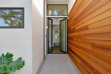 Entryway - modern concrete floor, gray floor and wall paneling entryway idea in Los Angeles with multicolored walls and a black front door