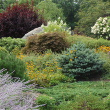 Sustainable Gardening