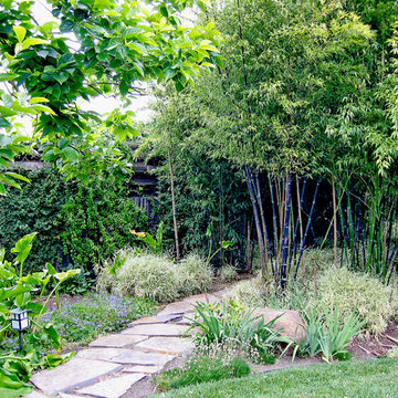 Contemporary Landscape