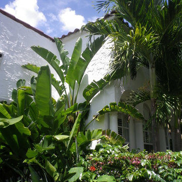 classic white mediterranean revival home and tropical south florida foliage