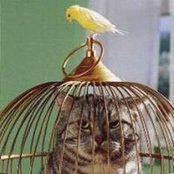 Foto von Tina Manwill