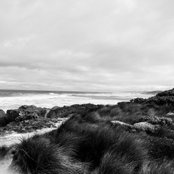 Al M's photo