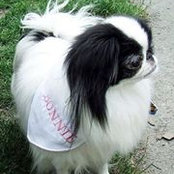 Traci Keeney's photo