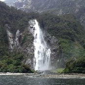 Renee Midgarden's photo