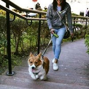 Mabel Tong's photo