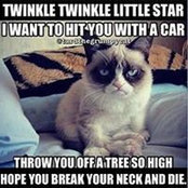 Laura Rizzo's photo
