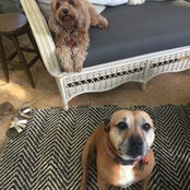 Eliza Clapin's photo