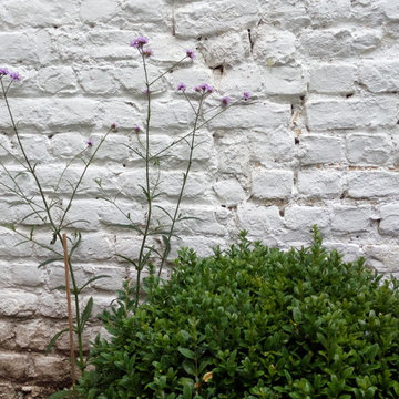 Jardin 50m2 - Bruxelles - Contemporain