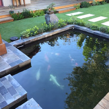 Pond Ideas