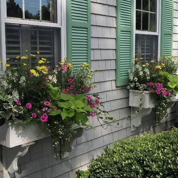 Eel River Rd. Roses and Window Boxes