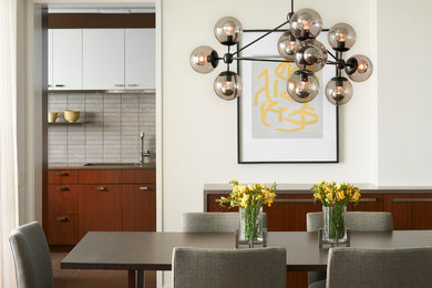 Trendy dining room photo in Chicago with white walls