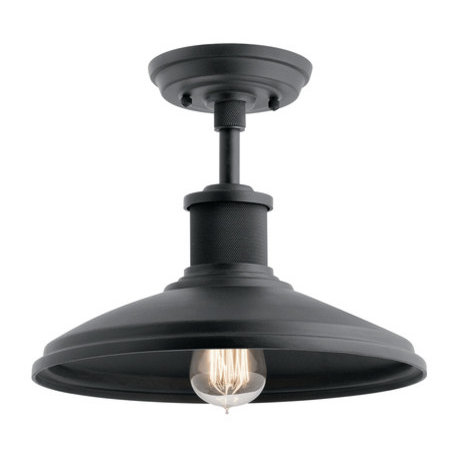 Outdoor Pendant/Semi Flush 1-Light