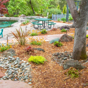 Premier Landscape Design