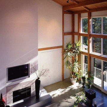 The Contemporary Barn House