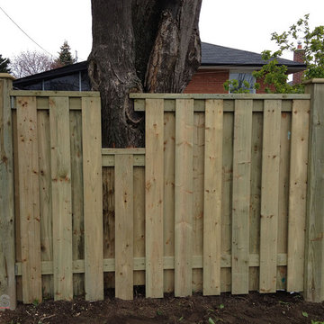 Pressure Treated Fence