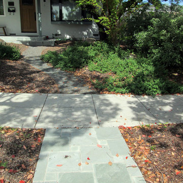 Cupertino, California Low Water Garden Design & Lawn Replacement