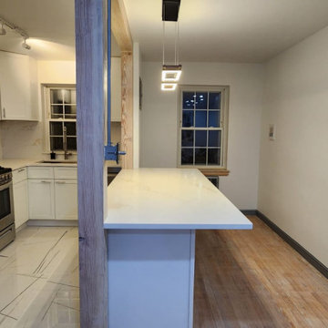 Whole Condo Remodel In Progress