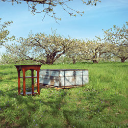 Country Classics - Products