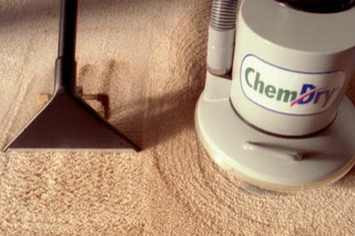 Carpet and Upholstery Cleaning in Camden