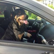 Kim Northrup's photo