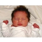 Dena Graziano's photo