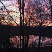Carla Helton's photo