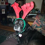 Daniel Lewis-Hoover's photo