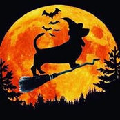 Foto de Simba Barney