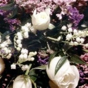 Cathy Luders's photo