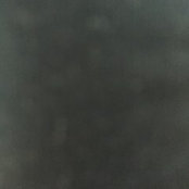 Andreea Zisu's photo