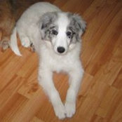 Gail Barrett's photo