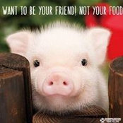 Jean Loew's photo